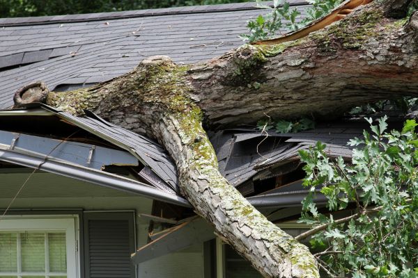 Storm Remediation in Richardson