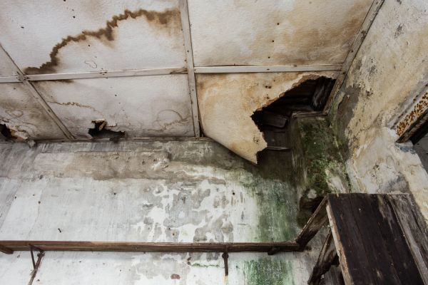 Water Damage Service in Richardson