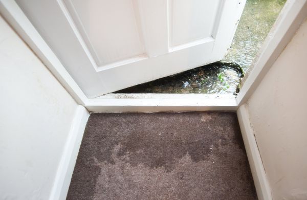 Wet Carpet Restoration in Richardson