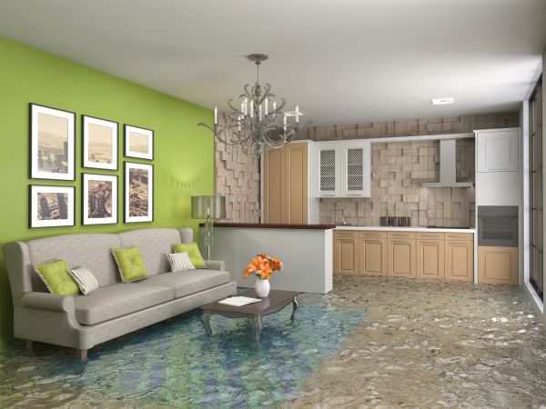 Wet Carpet Drying in Richardson