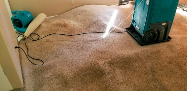 Flood Damage Cleanup in Richardson