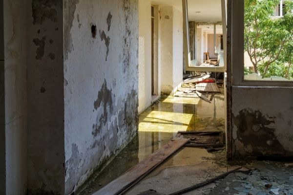 Water Removal Service in Richardson