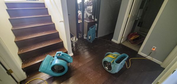 Water Damage Remediation in Richardson