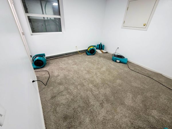 Flood Restoration Service in Richardson
