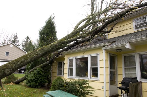 Hurricane Damage Repair in Richardson
